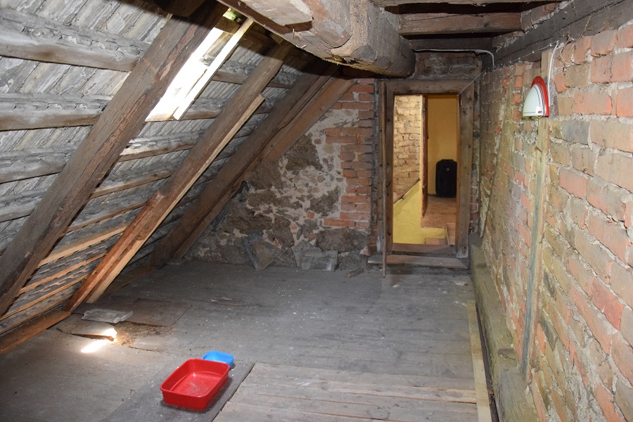 DSC_1007.jpg