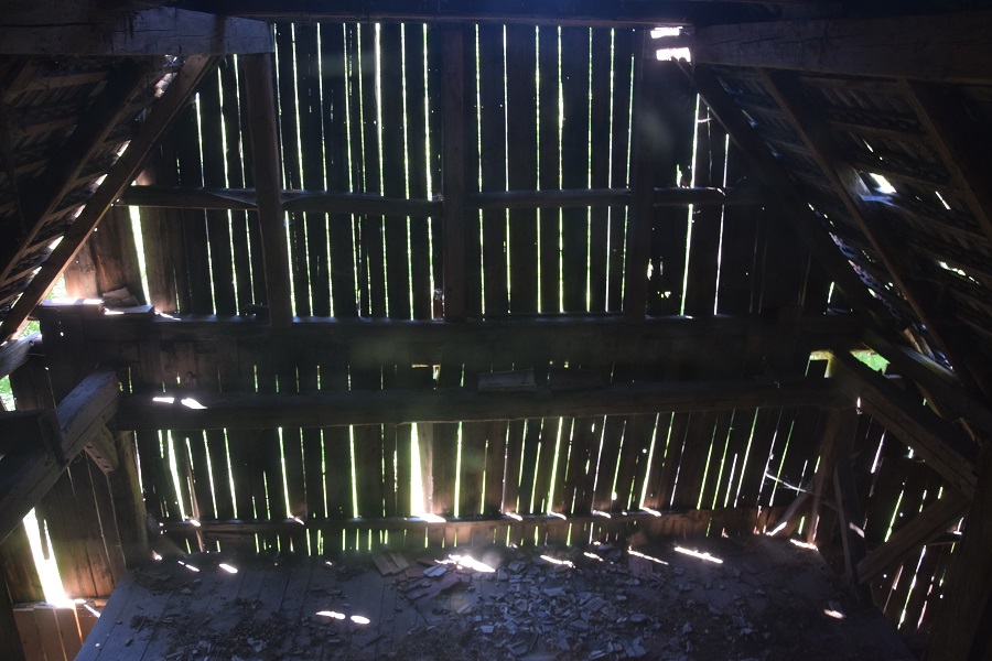 DSC_1031.jpg