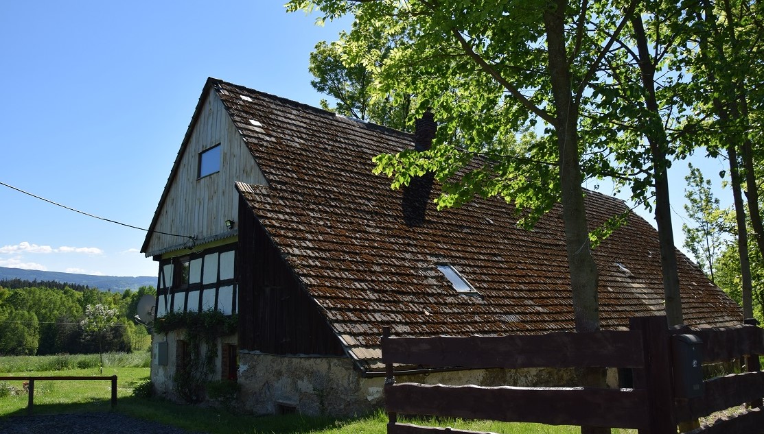 dzień zakupu.jpg